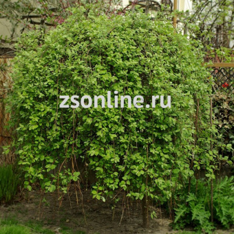 Изображение загружено обработкой по данным файла Excel