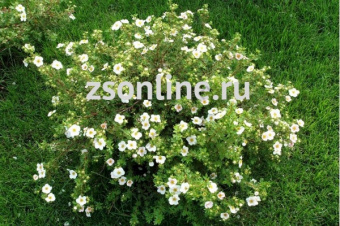 Изображение загружено обработкой по данным файла Excel