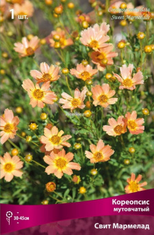 Изображение загружено обработкой по данным файла Excel