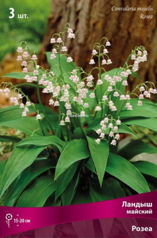 Изображение загружено обработкой по данным файла Excel