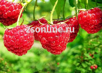 e8782165c5a67e6fdadf0bc346b6b0bc