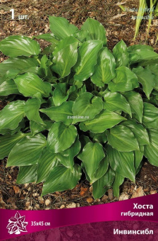 Изображение загружено обработкой по данным файла Excel