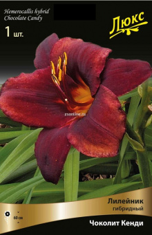 Изображение загружено обработкой по данным файла Excel