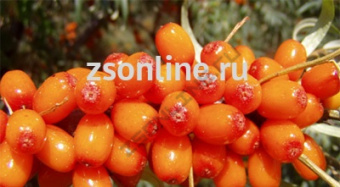 Изображение загружено обработкой по данным файла Excel