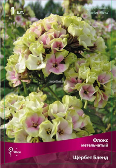 Изображение загружено обработкой по данным файла Excel