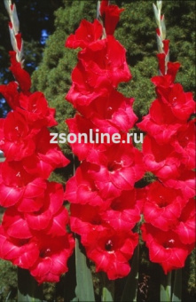 Изображение загружено обработкой по данным файла Excel