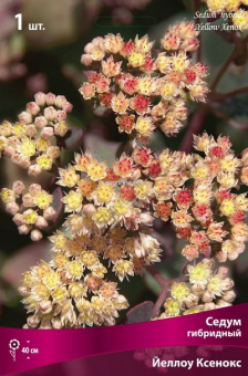 Изображение загружено обработкой по данным файла Excel