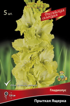 Гладиолус Прыткая ящерка 10-12/К 5шт