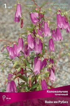 Изображение загружено обработкой по данным файла Excel