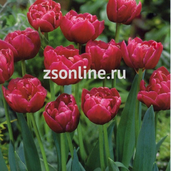 Изображение загружено обработкой по данным файла Excel