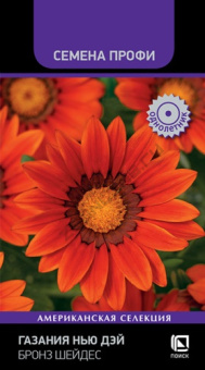 gazania_new_day_bronze_shades