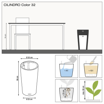 CILINDRO Color 32 2