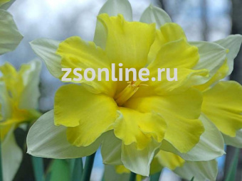 Изображение загружено обработкой по данным файла Excel