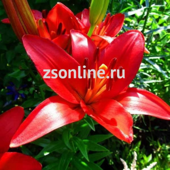 Изображение загружено обработкой по данным файла Excel