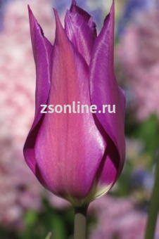 Изображение загружено обработкой по данным файла Excel