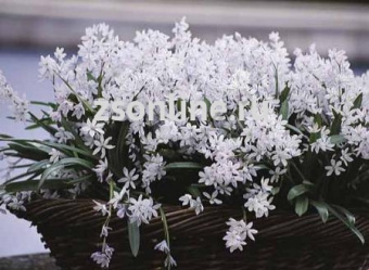 Изображение загружено обработкой по данным файла Excel