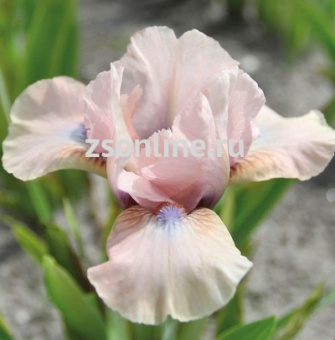 Изображение загружено обработкой по данным файла Excel