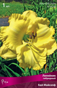 Изображение загружено обработкой по данным файла Excel