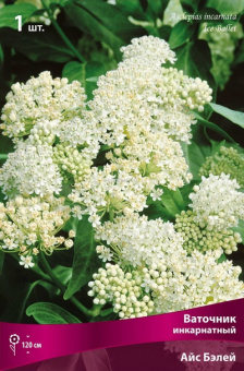 Изображение загружено обработкой по данным файла Excel