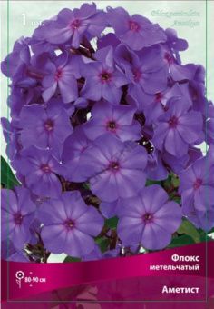 Флокс метельчатый Аметист (лилово-голубой,не выгорает на солнце,соцветие плотное,куст компактный) 1шт