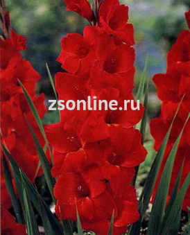 Изображение загружено обработкой по данным файла Excel