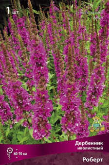 Дербенник иволистный Роберт/К
