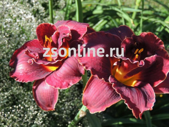 Изображение загружено обработкой по данным файла Excel