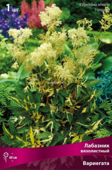 Изображение загружено обработкой по данным файла Excel