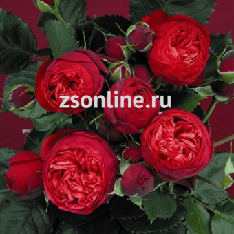 Изображение загружено обработкой по данным файла Excel