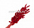 Ветки декоративные (лагурус) ,40г цвет красный  