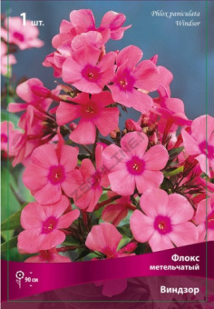 floks_metelch_vindzor_kaper