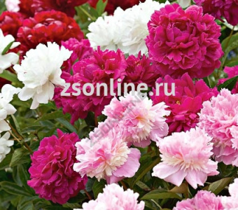 Изображение загружено обработкой по данным файла Excel