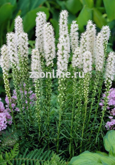 Изображение загружено обработкой по данным файла Excel