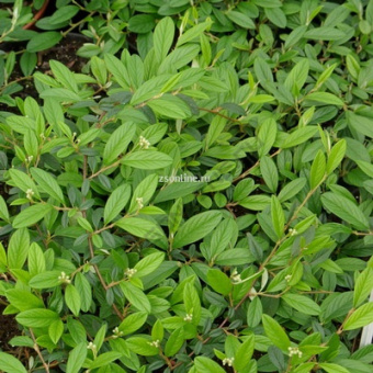 Изображение загружено обработкой по данным файла Excel