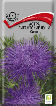 astra_gigant_luchi_sinyaya