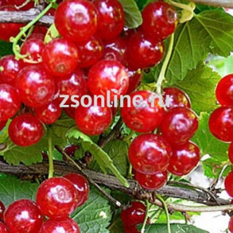 Изображение загружено обработкой по данным файла Excel