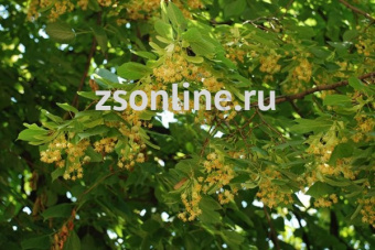 Изображение загружено обработкой по данным файла Excel