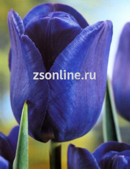 Изображение загружено обработкой по данным файла Excel