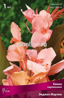 Изображение загружено обработкой по данным файла Excel