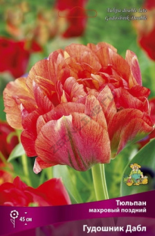 Тюльпан махровый поздний Гудошник Дабл 11-12/К 10шт