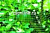 Сеть садовая GREEN APPLE GFPN12-25 2х5м