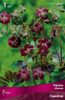 Изображение загружено обработкой по данным файла Excel