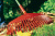 601_original 601_original