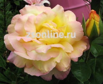 Изображение загружено обработкой по данным файла Excel