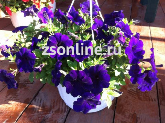 Изображение загружено обработкой по данным файла Excel