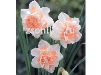 Изображение загружено обработкой по данным файла Excel