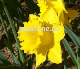 Изображение загружено обработкой по данным файла Excel