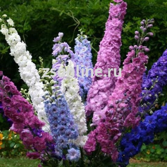 Изображение загружено обработкой по данным файла Excel