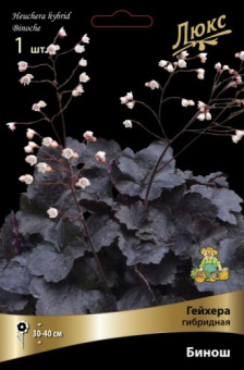 Гейхера гибридная Бинош*/К