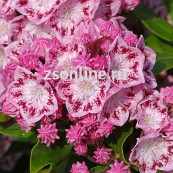 Изображение загружено обработкой по данным файла Excel